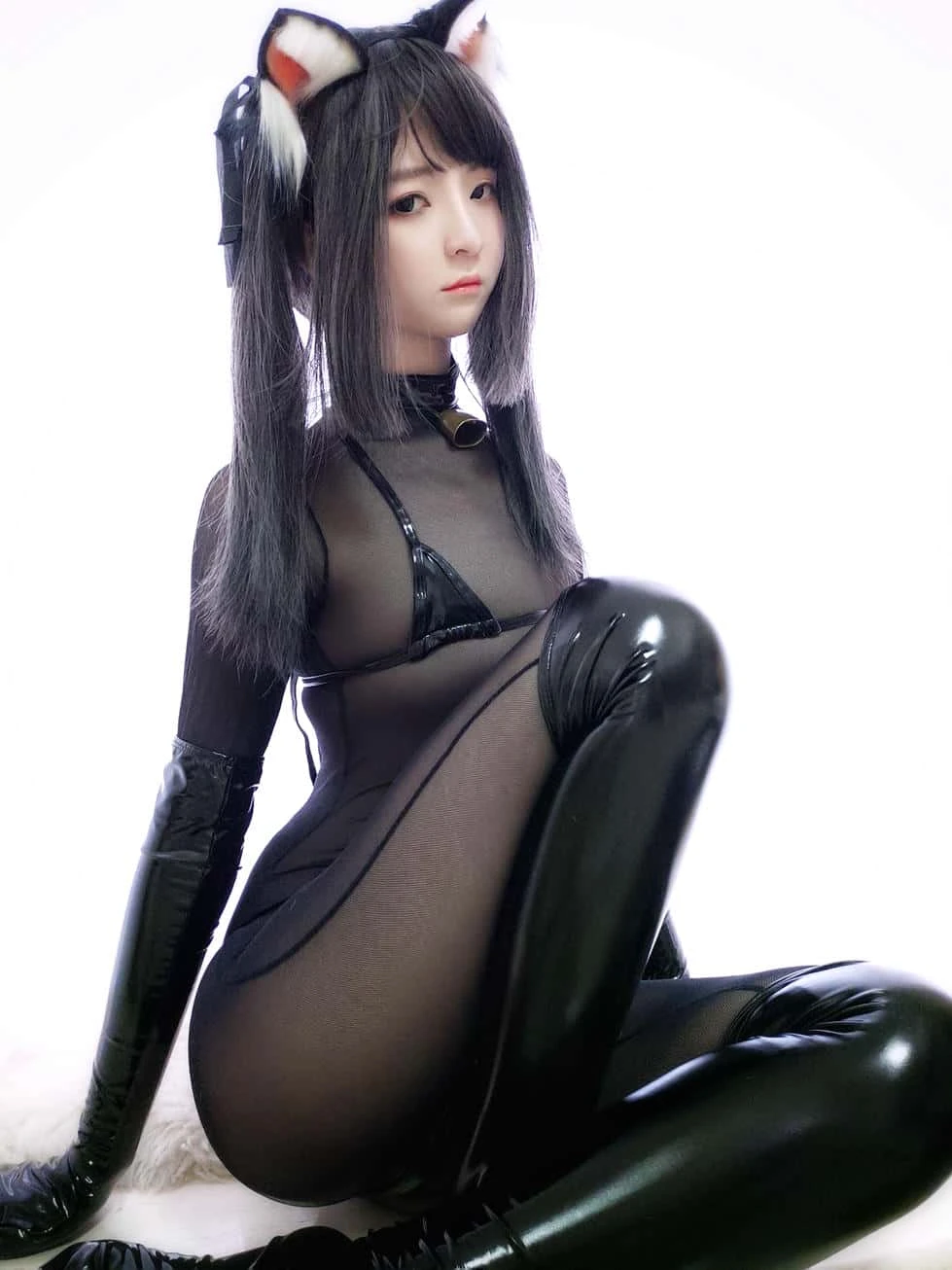 一小央泽 黑猫巧克力派