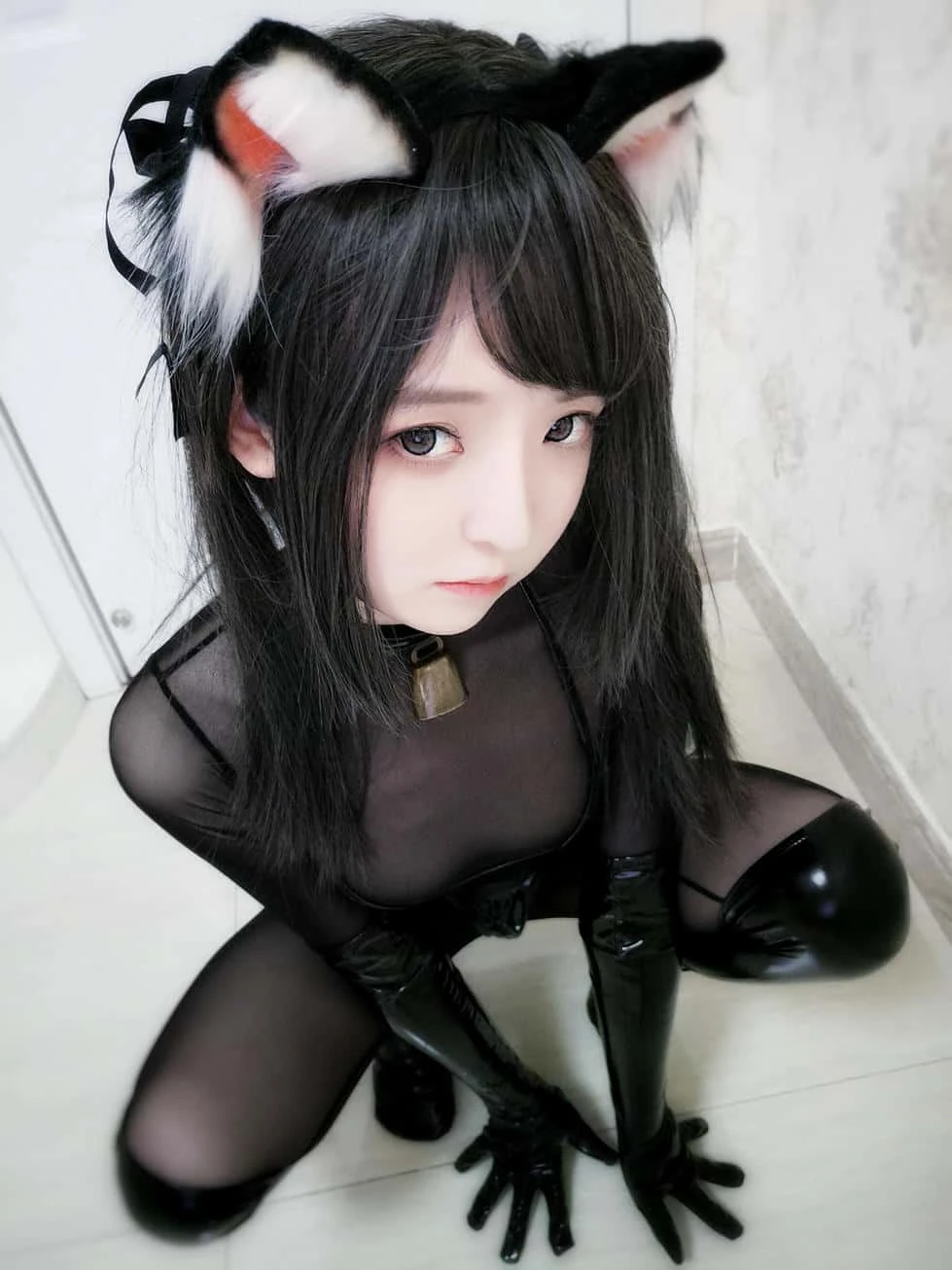 一小央泽 黑猫巧克力派