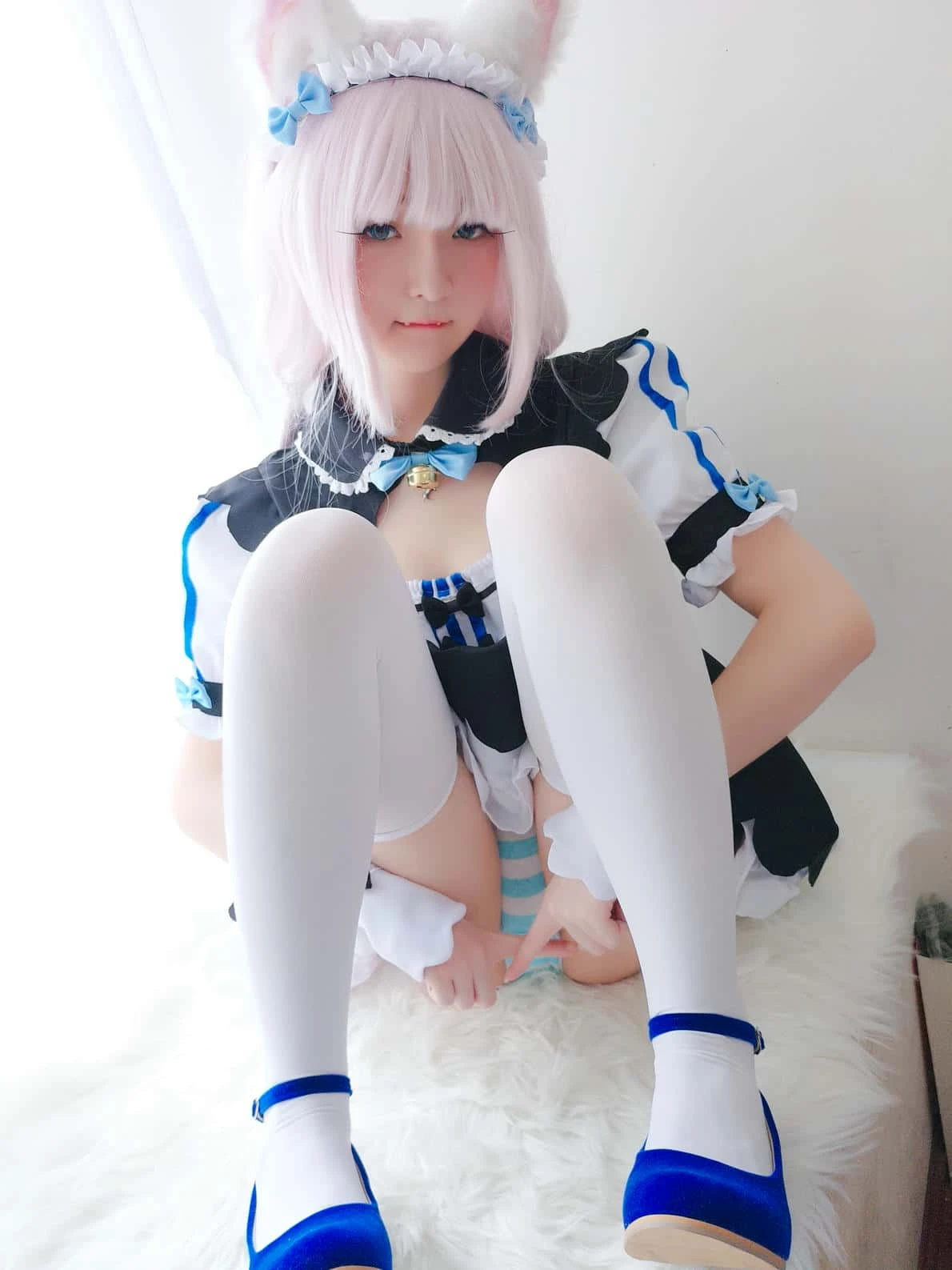 一小央泽 猫娘香子兰