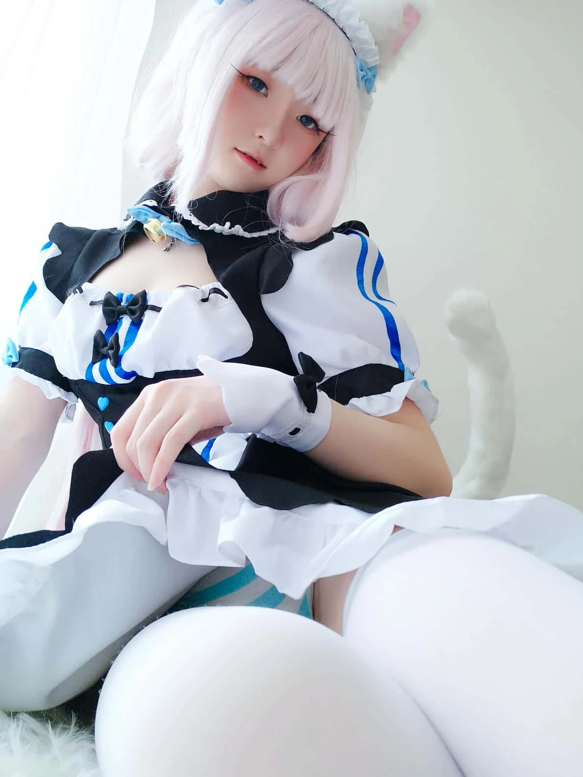 一小央泽 猫娘香子兰