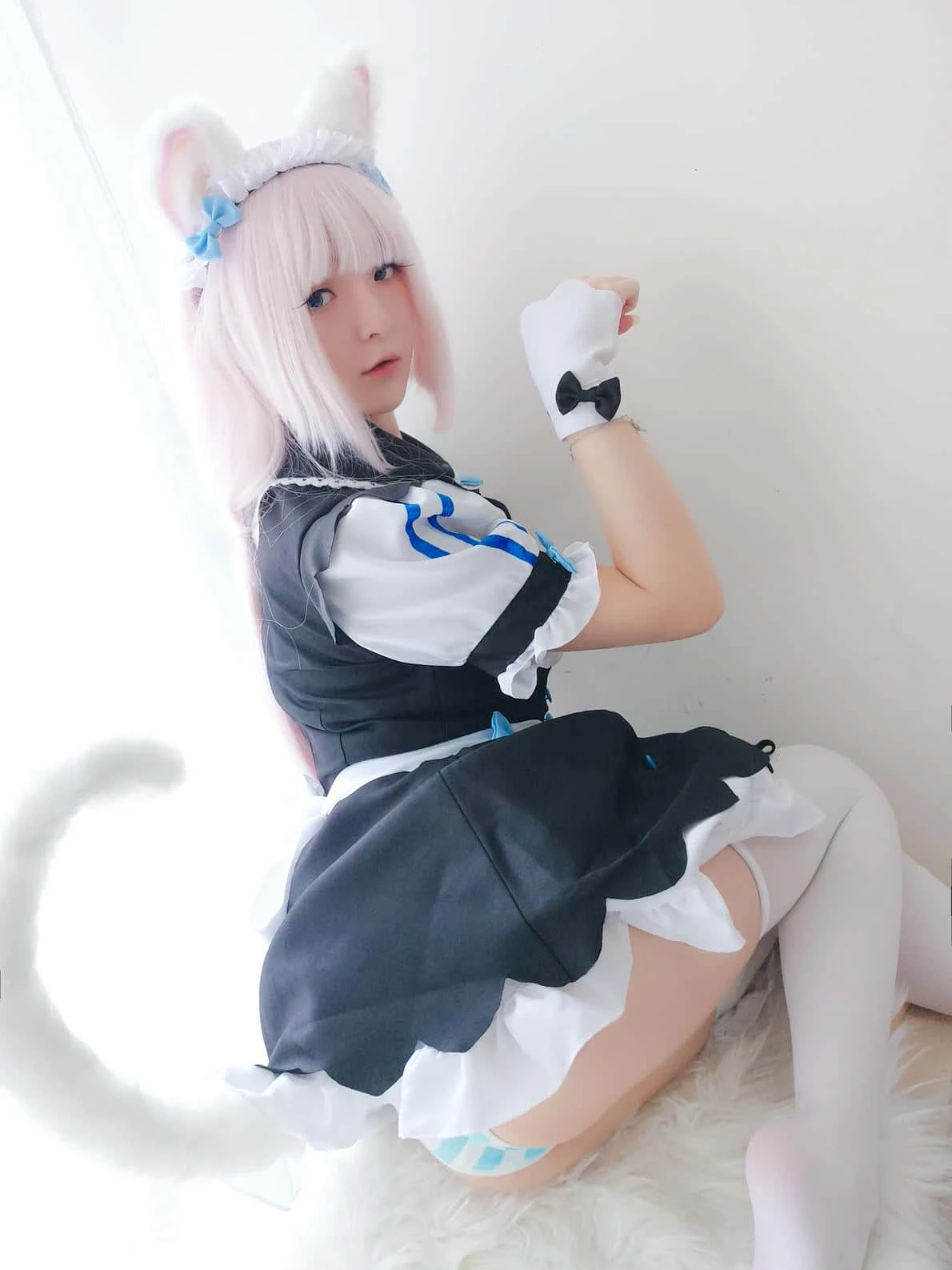 一小央泽 猫娘香子兰