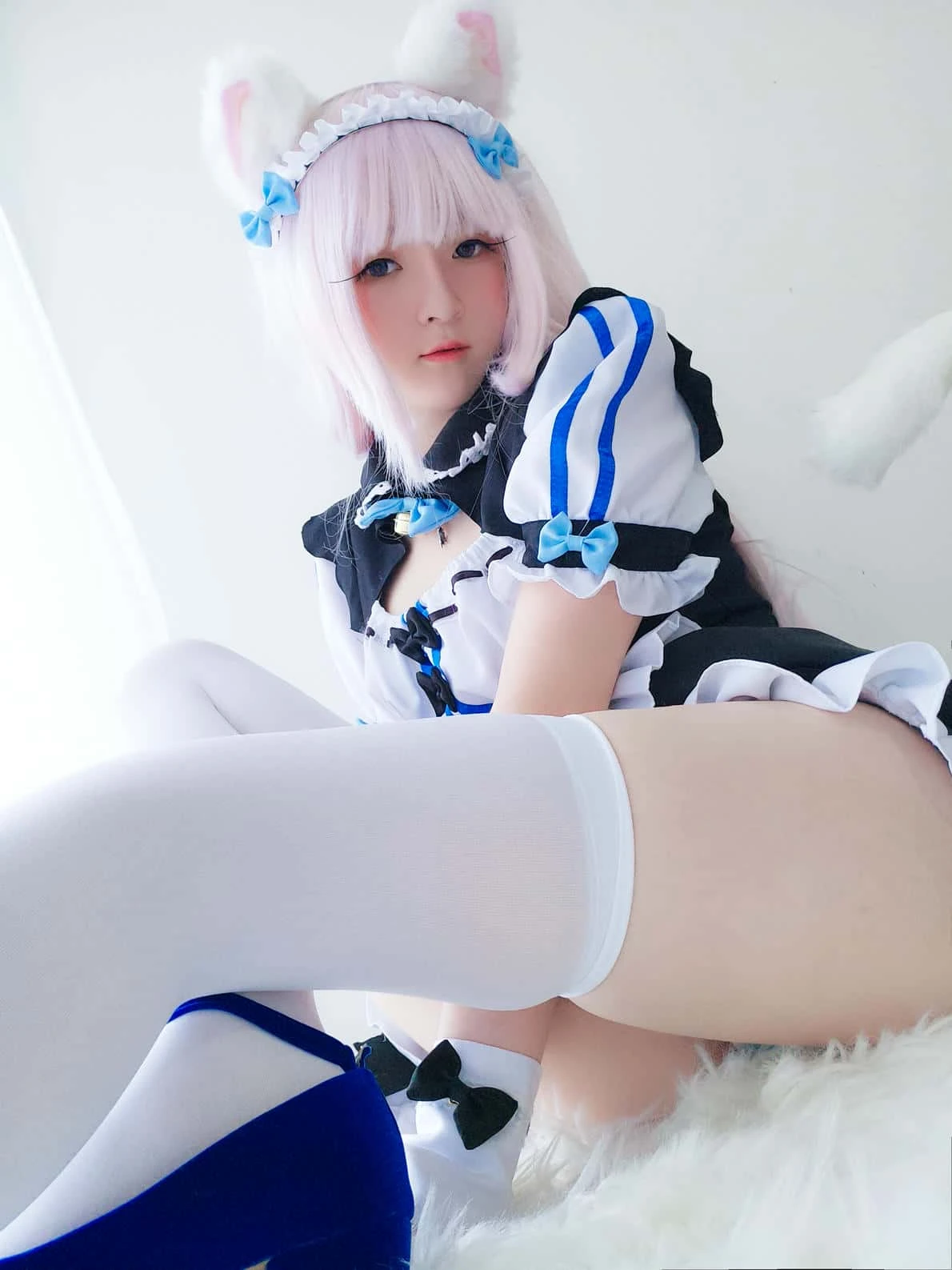 一小央泽 猫娘香子兰