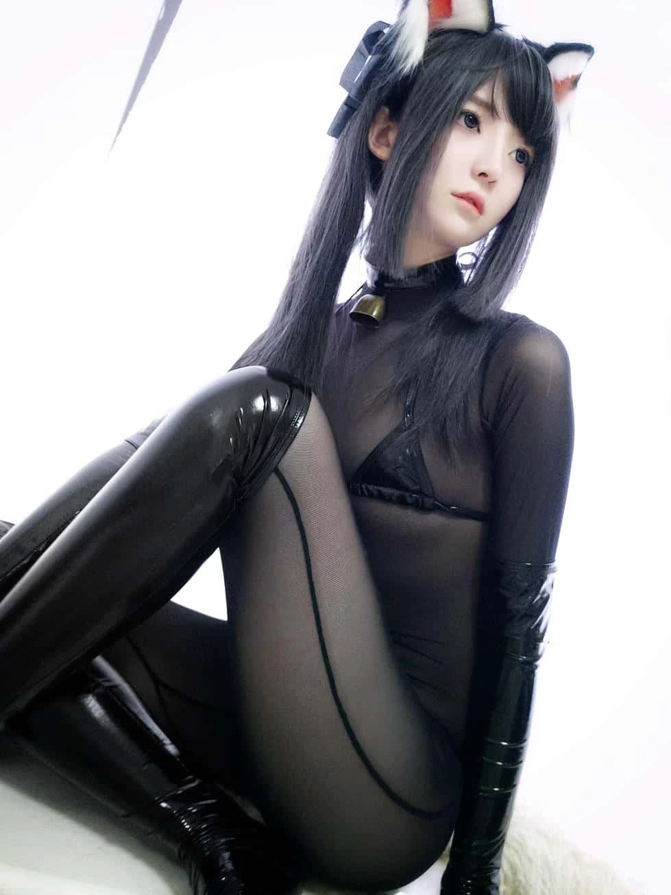 一小央泽 黑猫巧克力派