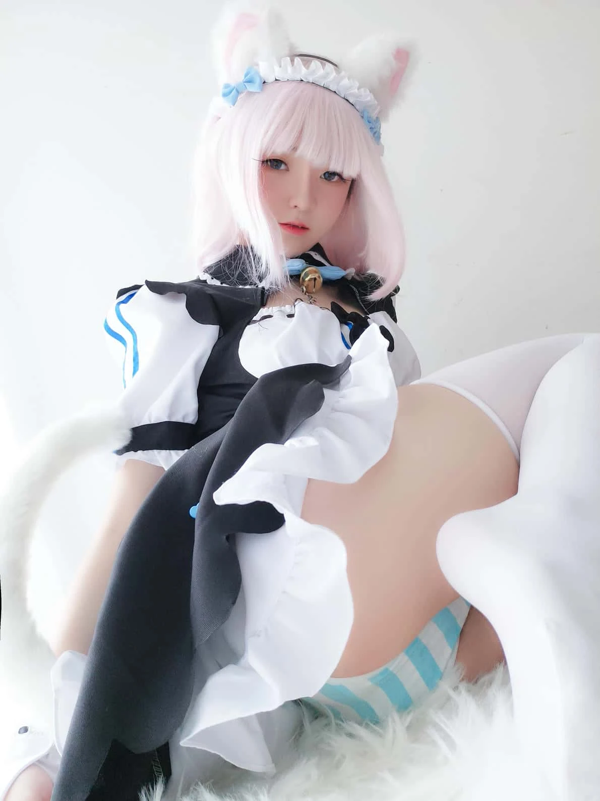 一小央泽 猫娘香子兰