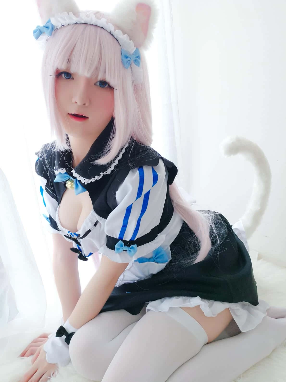 一小央泽 猫娘香子兰