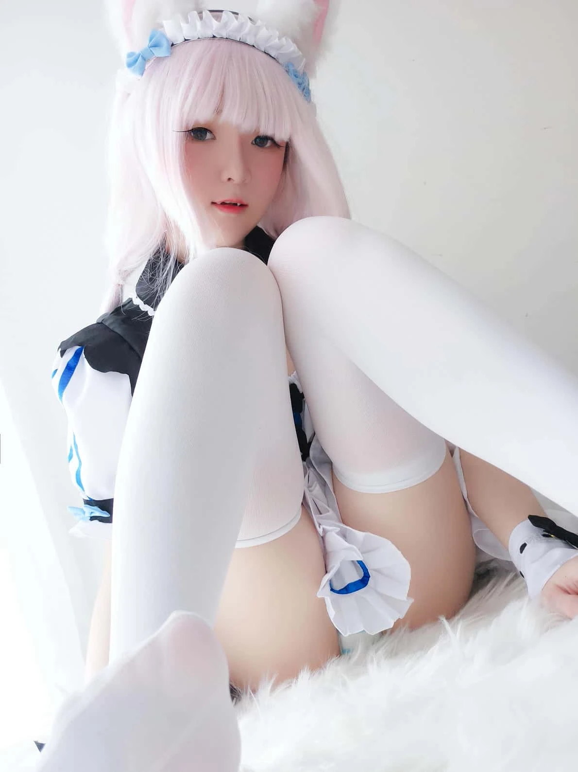 一小央泽 猫娘香子兰