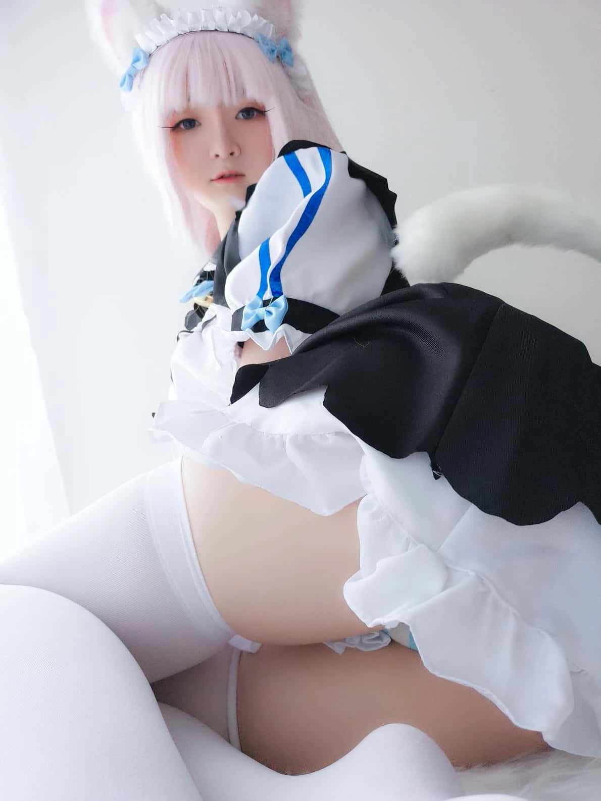 一小央泽 猫娘香子兰