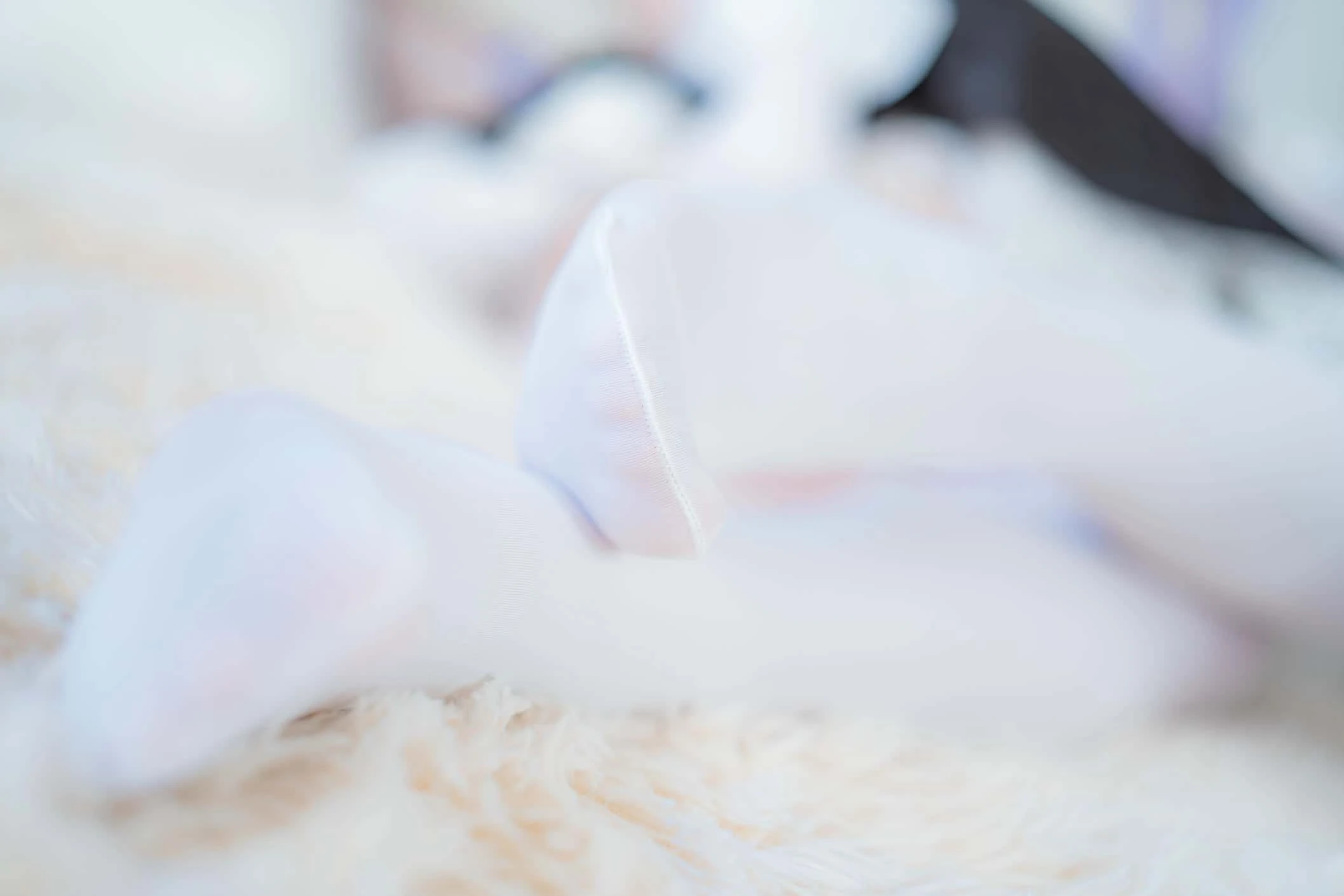 Sayako(さやこ) ユニコーンメイド