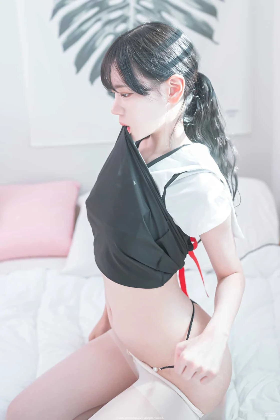PhotoChips Vol.134 No. Giryongi