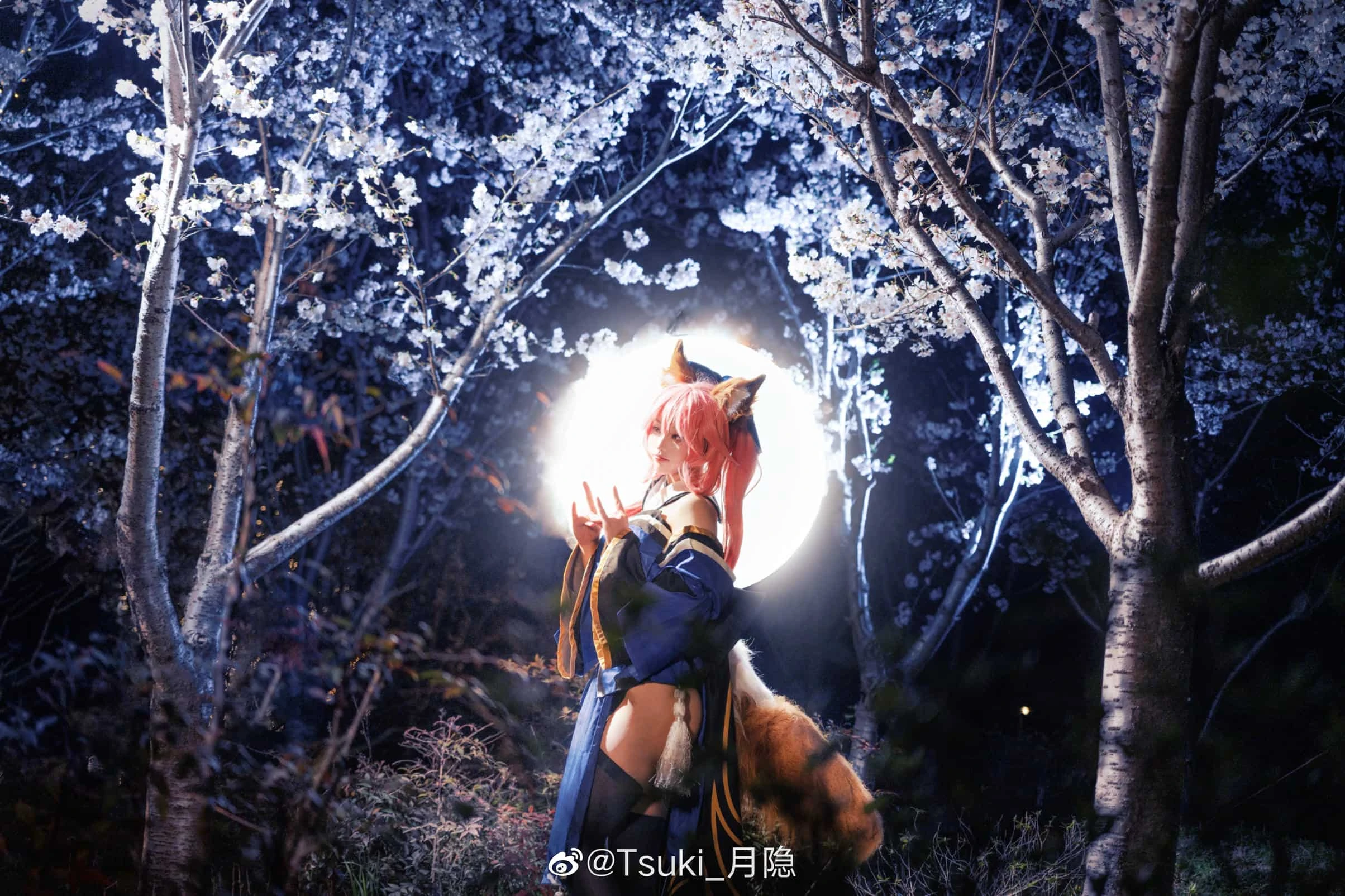 Tsuki_月隐 玉藻の前