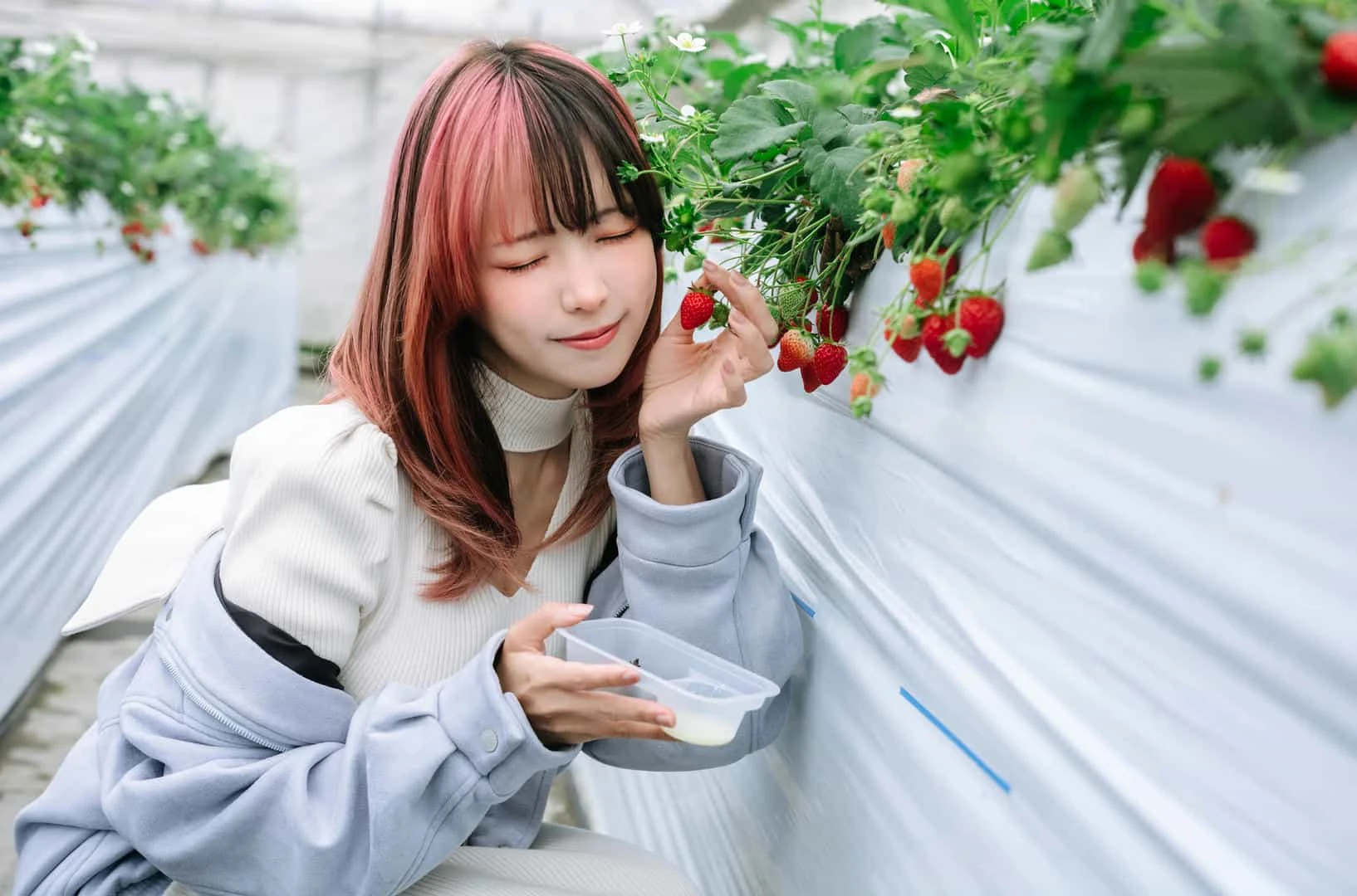 ElyEE子 Strawberry Picking Date