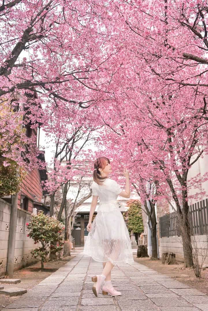 ElyEE子 2025年04月订阅 (4套)
