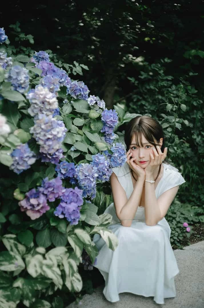 ElyEE子 2024 July-Tier 3 A.Rainy Season雨季繡球花