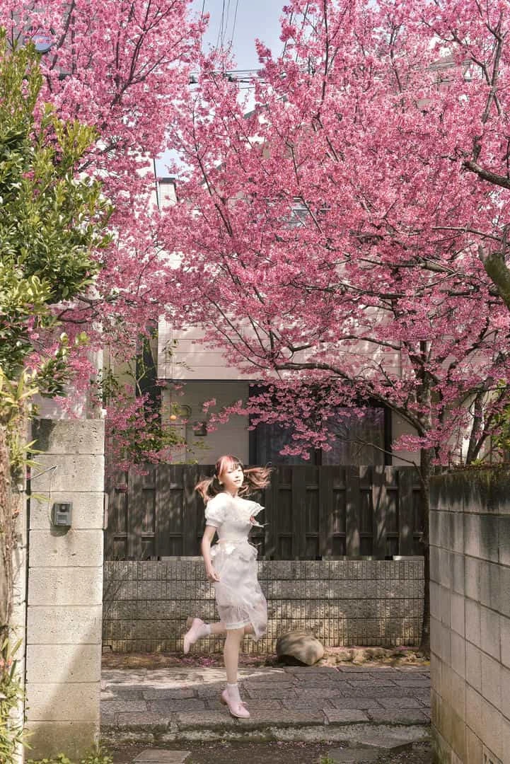 ElyEE子 2025年04月订阅 (4套)