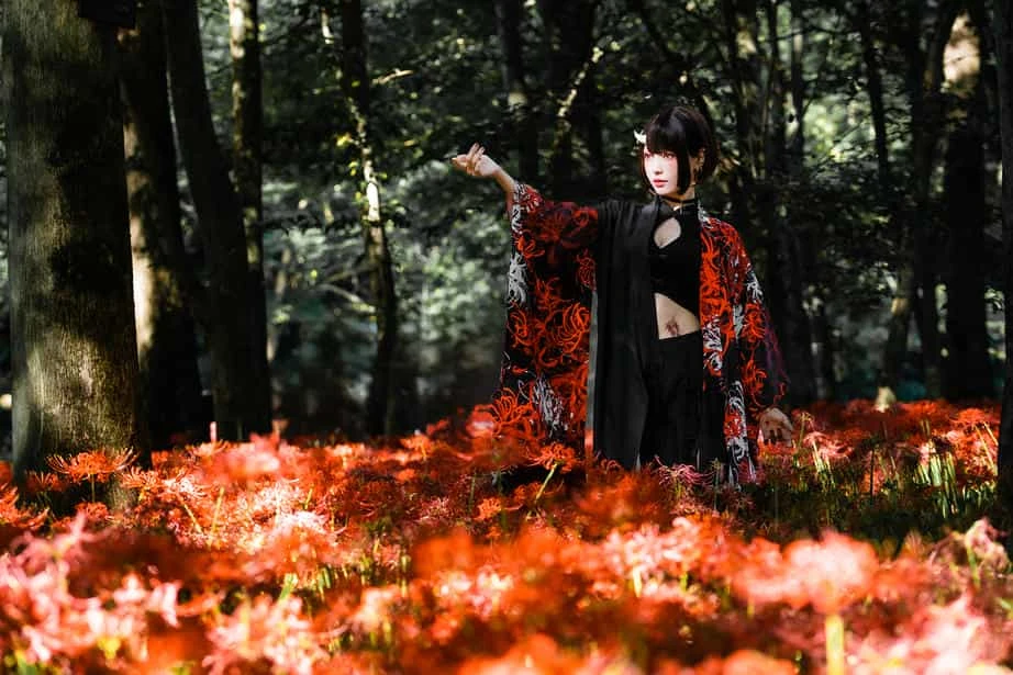 ElyEE子 23年10月订阅