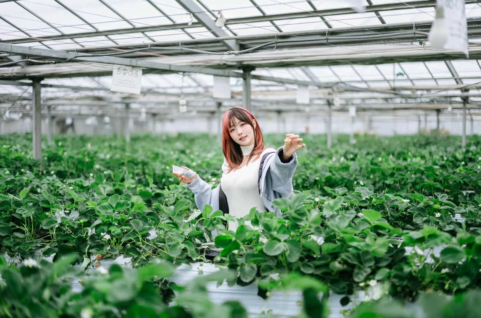 ElyEE子 Strawberry Picking Date