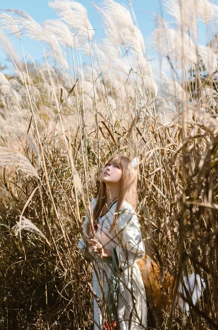 ElyEE子 Breeze 狼與微風