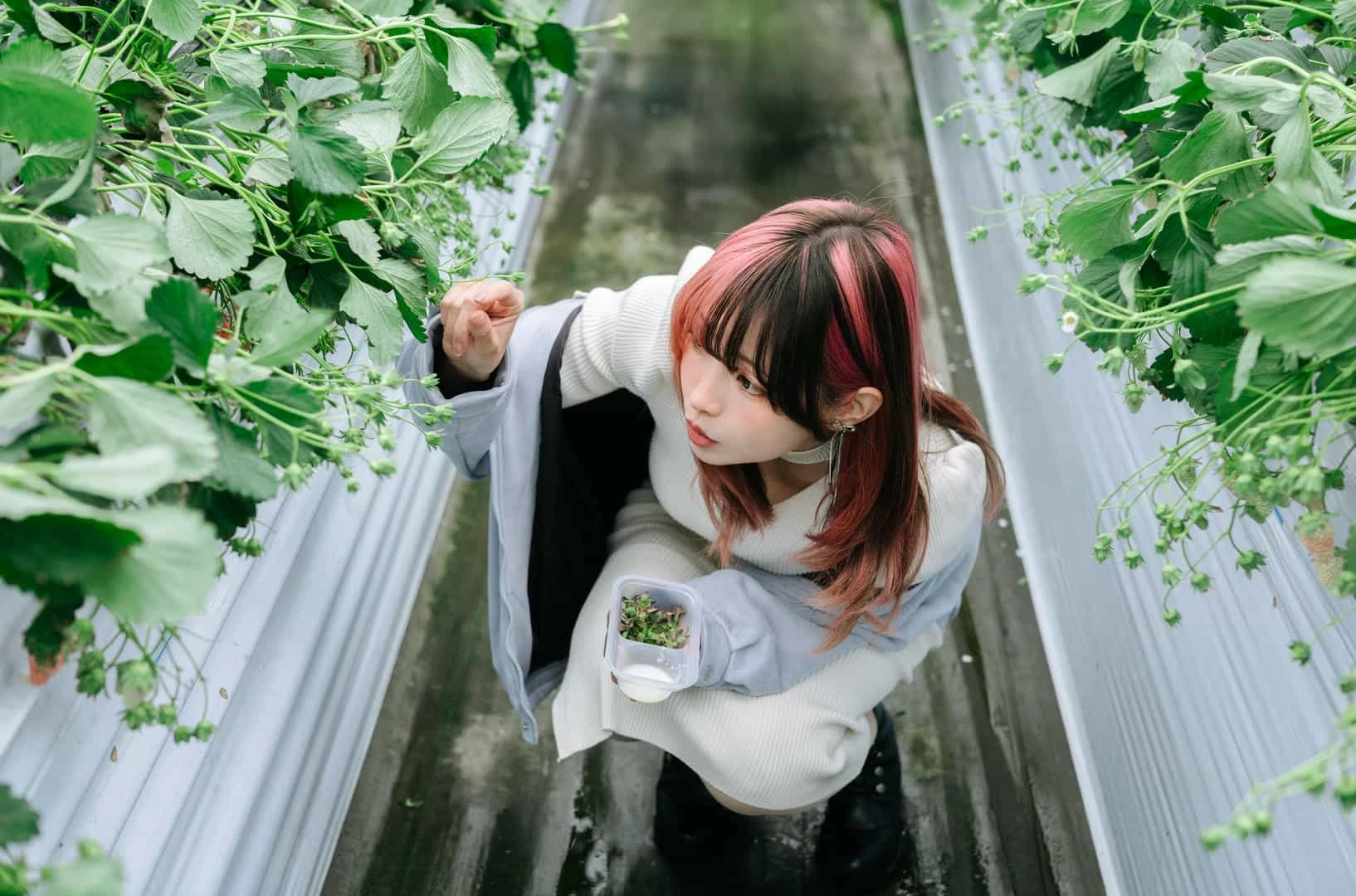 ElyEE子 Strawberry Picking Date