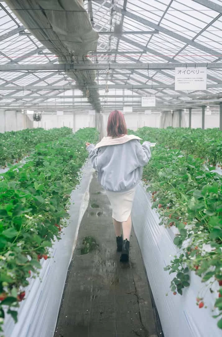 ElyEE子 Strawberry Picking Date