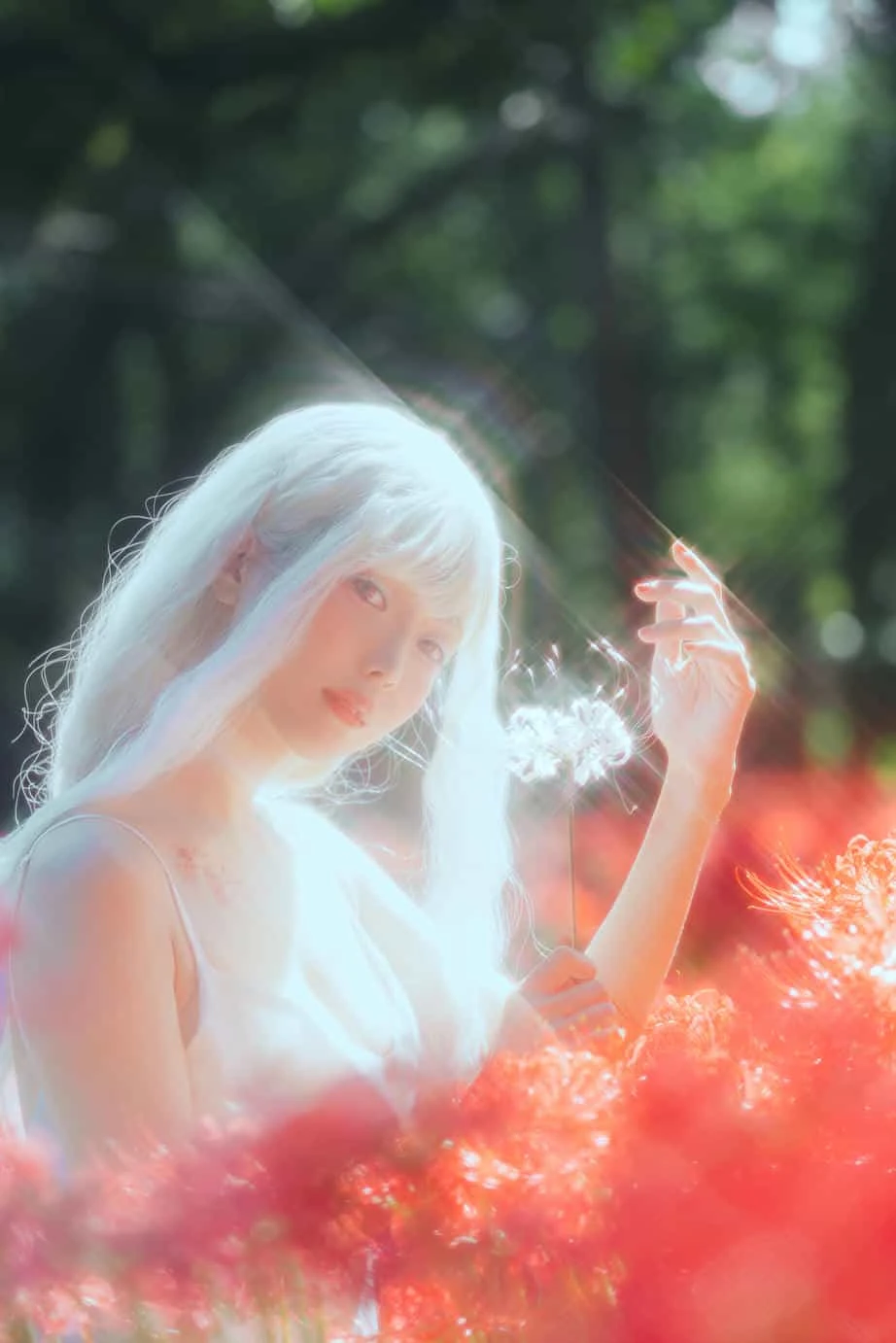 ElyEE子 23年10月订阅