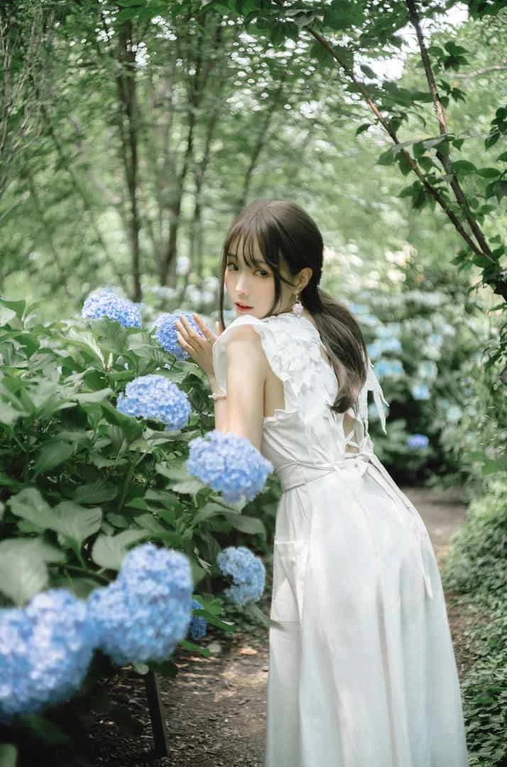 ElyEE子 2024 July-Tier 3 A.Rainy Season雨季繡球花