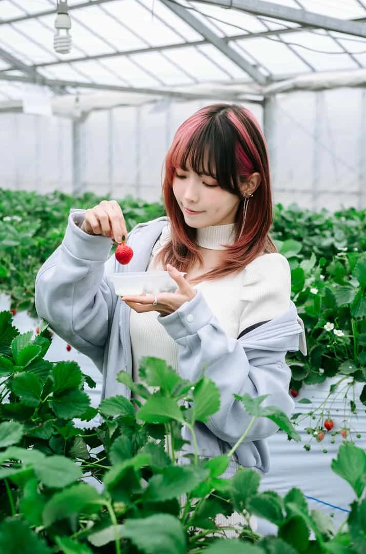 ElyEE子 Strawberry Picking Date