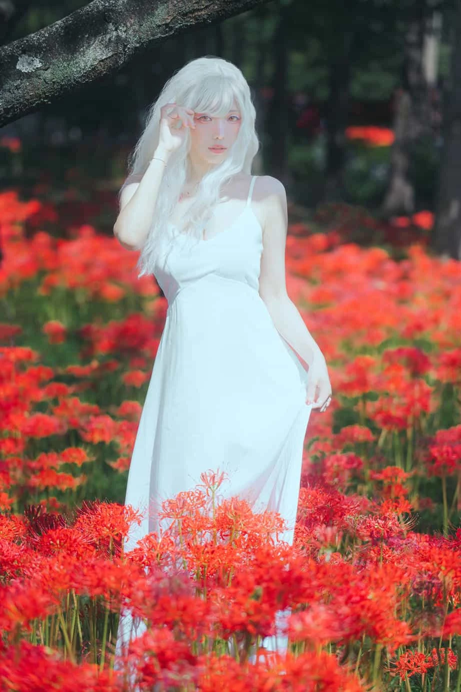 ElyEE子 23年10月订阅