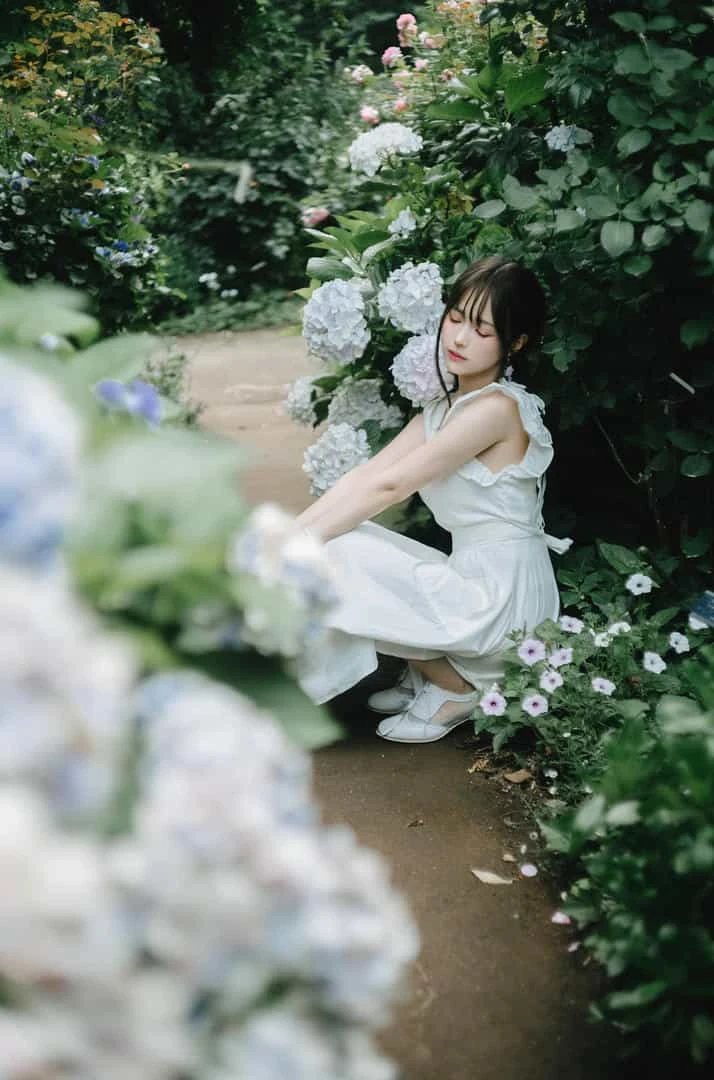 ElyEE子 2024 July-Tier 3 A.Rainy Season雨季繡球花