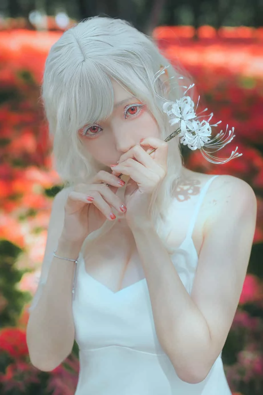ElyEE子 23年10月订阅