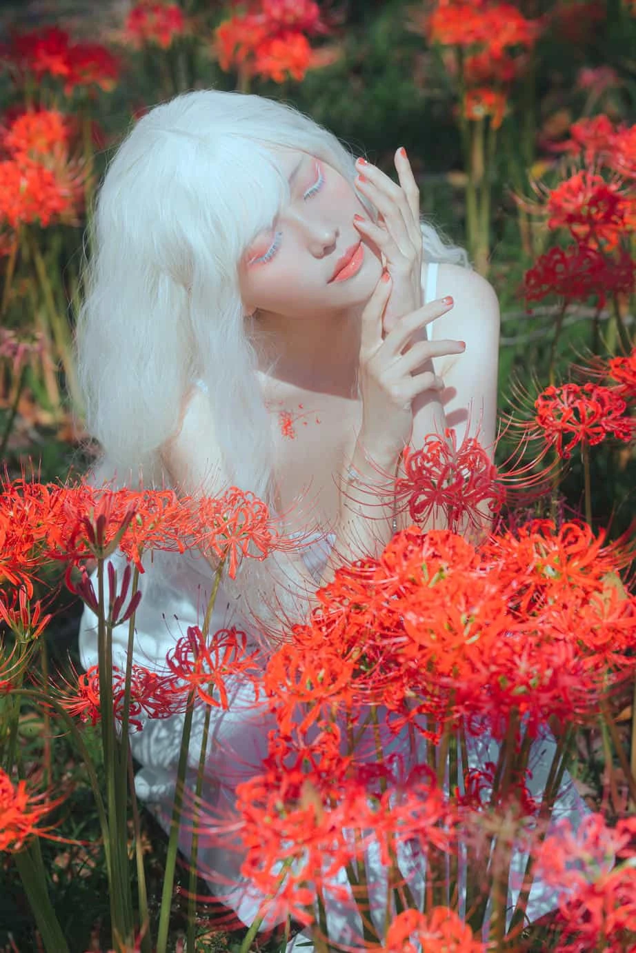 ElyEE子 23年10月订阅