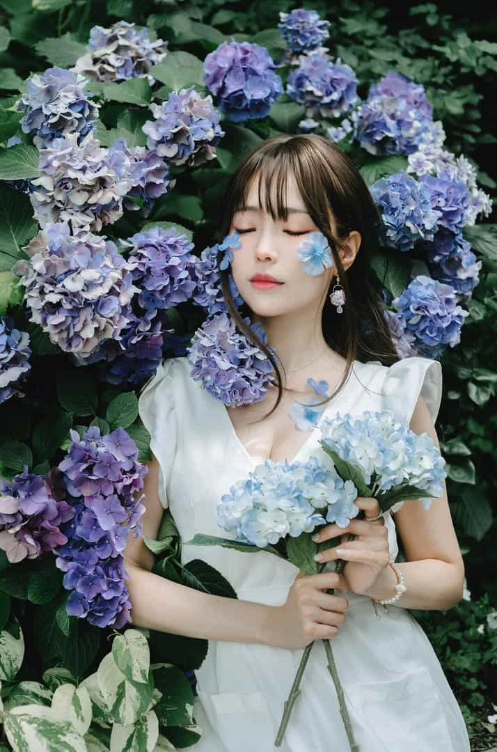 ElyEE子 2024 July-Tier 3 A.Rainy Season雨季繡球花