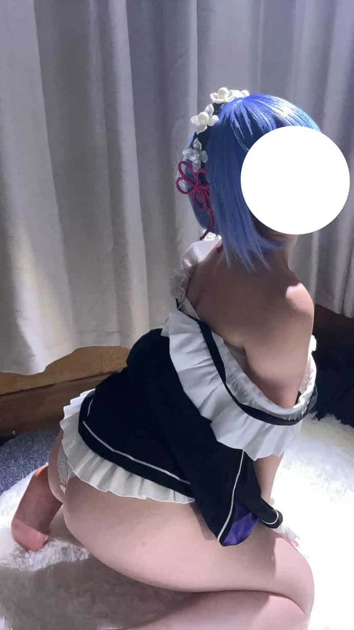月亮hoshi 2025年8月提督