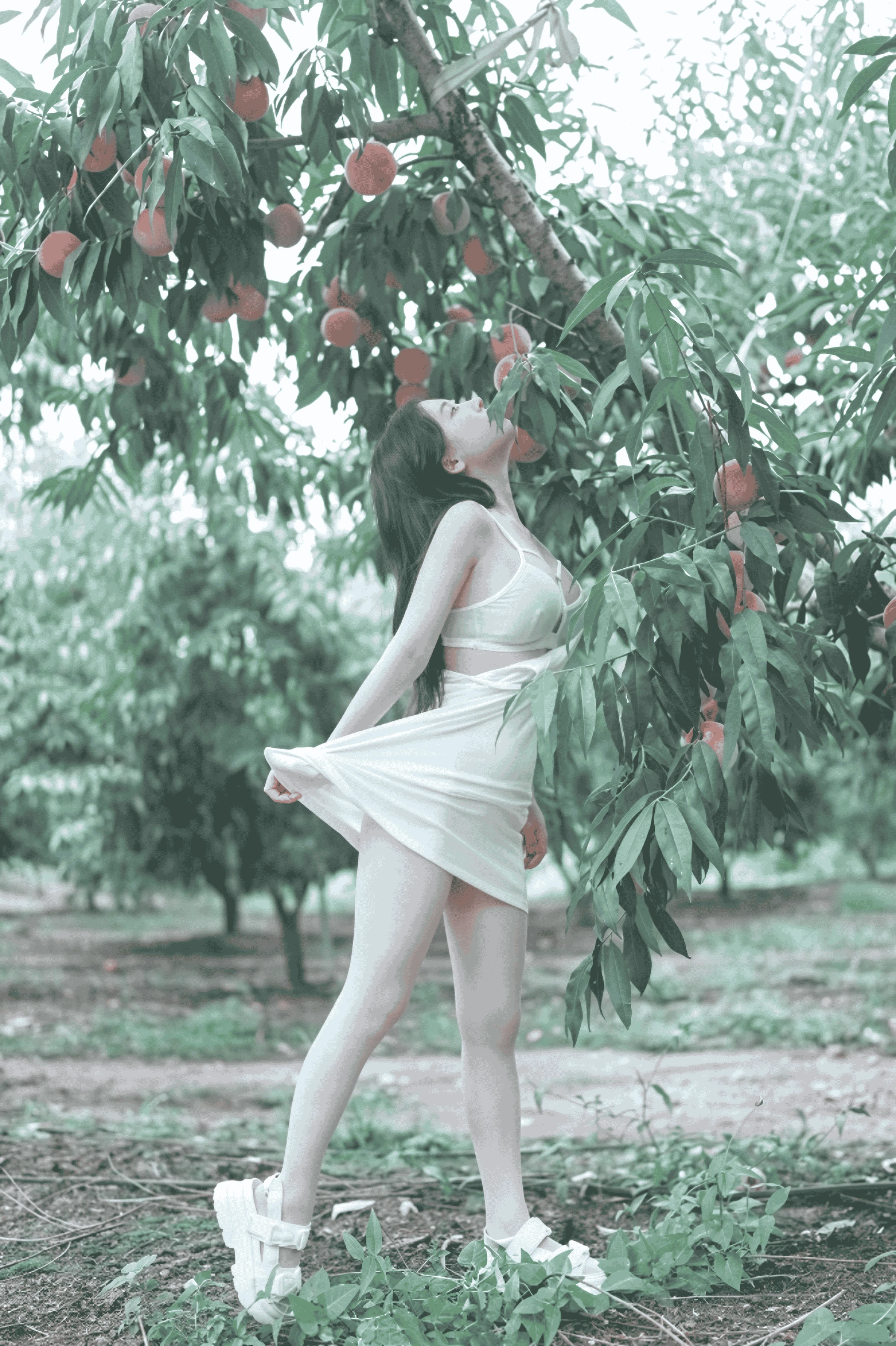 PhotoChips - Vol.132 Baebae (베베)
